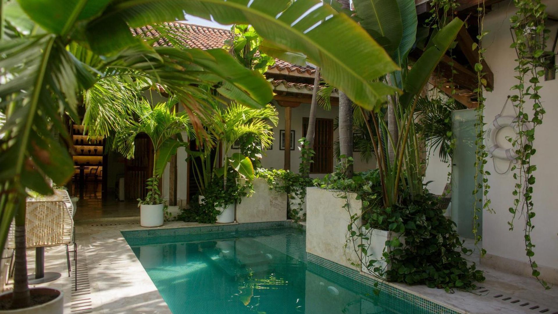 Palmas De Alba Boutique