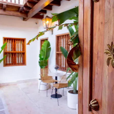 Palmas De Alba Boutique